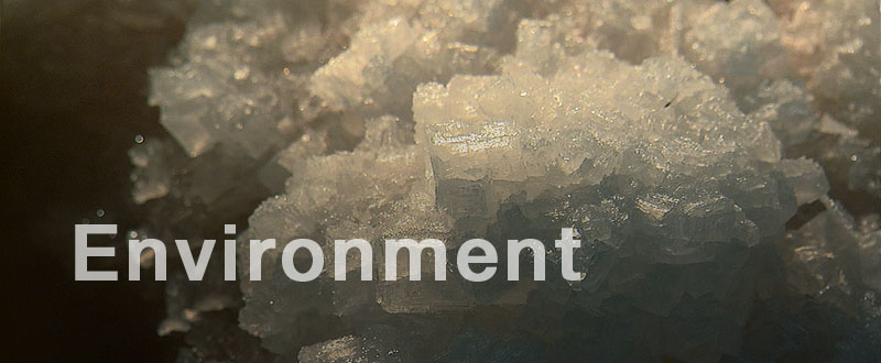 Environment