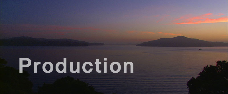 Production Assistance