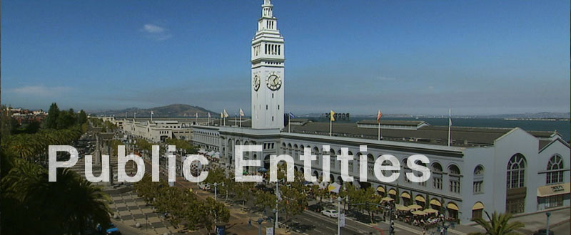 Public Entities